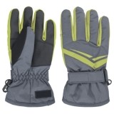 Ski Glove